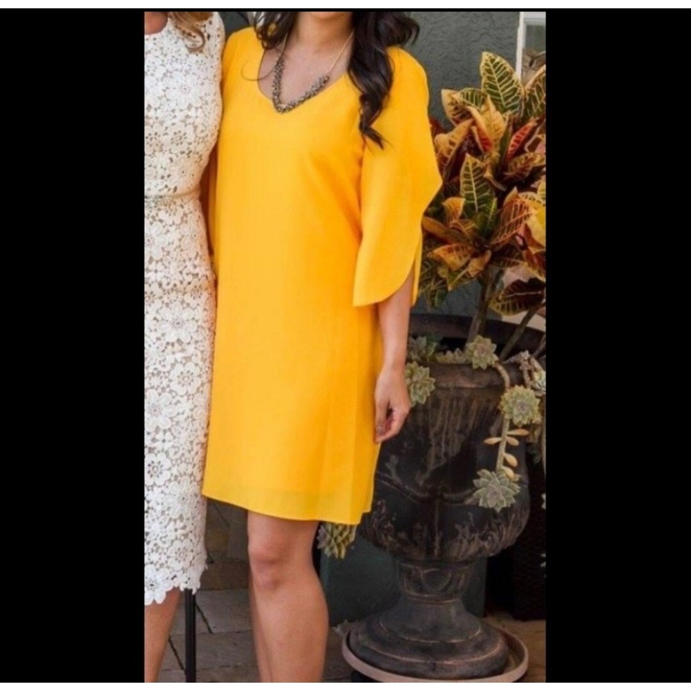 Gianni Bini Mustard Yellow Split Sleeve Shift Dress Lined Boat Neck Sz M Womens